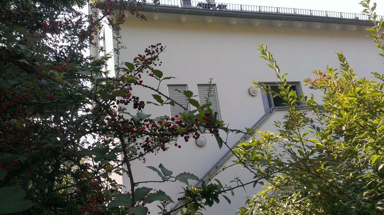 巴登-巴登Petite Bellevue II公寓 外观 照片
